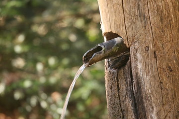 Brunnen