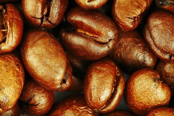 Background of coffee beans with great honey color