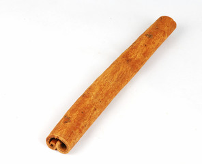 Single piece of cinnamon bark stick isolated