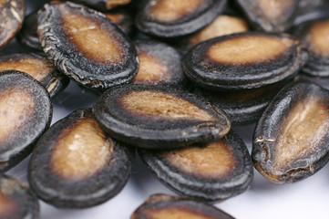 a lot of melon seed close up