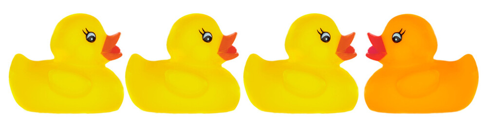 Yellow plastic ducks and one orange a over white background