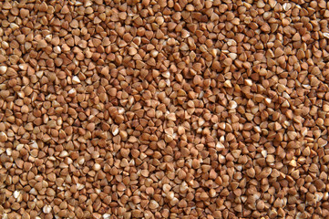Buckwheat