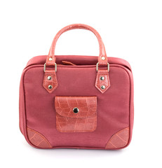 female fashion bag studio isolated