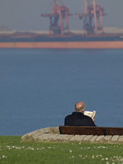 Anciano leyendo frente al mar