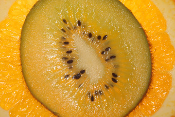 Orange. Tropical fruit