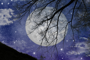 Naklejka premium Magic night view