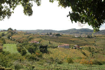 Italian landscape with green hills and trees