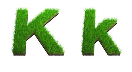 lettre K herbe