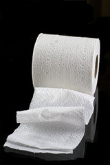 Toilet Paper Rolling