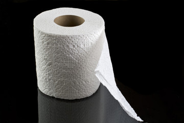 Toilet Paper