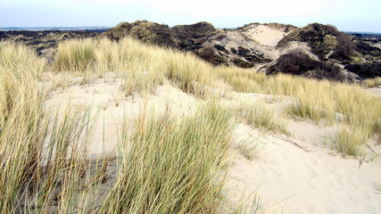 dune