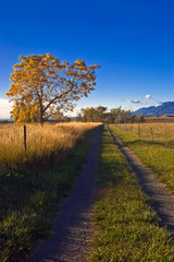 A rural road  outside of Boulder Colorado in Autumn