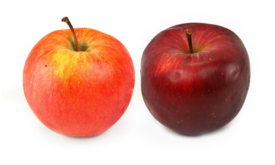 two various red apples on white, gentle shadow in front