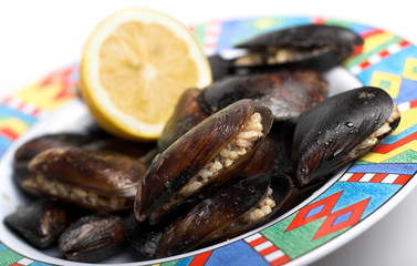 fresh mussels filled with rice 