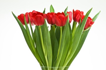 Tulpenstrauss
