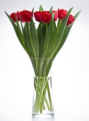 Tulpenstrauss
