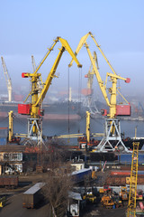 Cranes in harbor