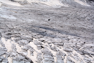 Naklejka premium blackbird over crevasse