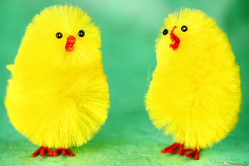 Easter Chicks chatting