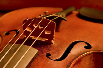 Violin detail