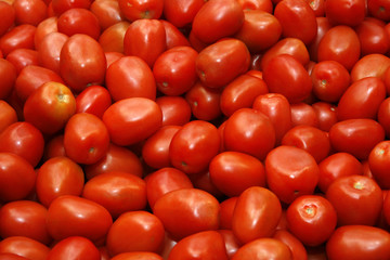 Fresh red tomatoes