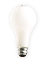 Frosted Light Bulb