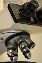 Fototapeta na wymiar mikroskop