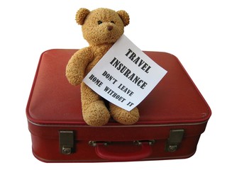 Travel Insurance And Teddy