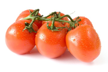 A branch of fresh red tomatoes on white background
