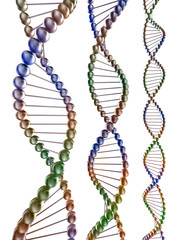 genetic code