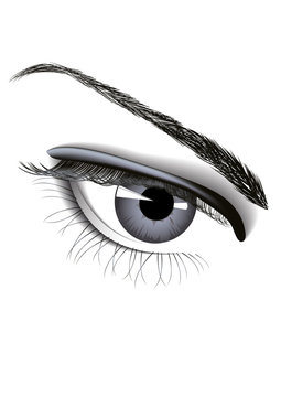 Woman eye, vector illustration