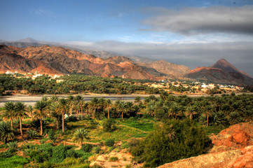 Fototapeta na wymiar Oaza na pustyni w Omanie (w pobliżu Muscat)