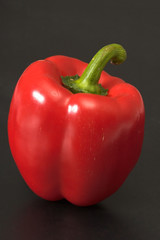 Red pepper on a black background