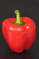 Red pepper on a black background