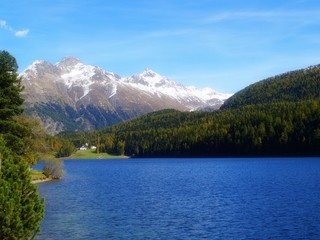 Fototapeta na wymiar St Moritz ... będzie zielone