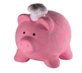 Piggy bank isolated on white background