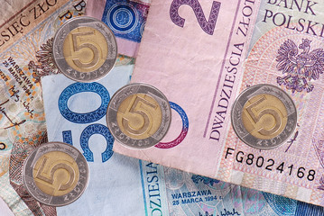 Polish money background