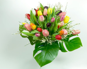 Ginestre e tulipani