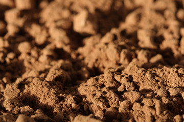 cocoa powder background. shallow DOF
