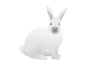 Fototapeta na wymiar vector - white rabbit