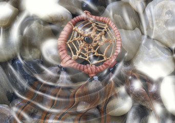 Dreamcatcher
