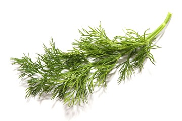 Dill