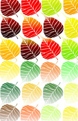 Fototapeta na wymiar colourful leaves in a retro style
