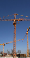 Industrial construction development. Orange steel cranes.