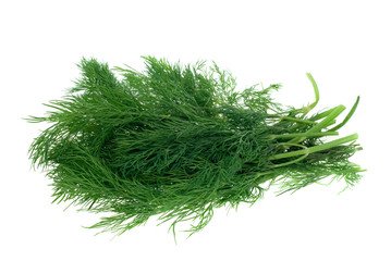fresh dill herb