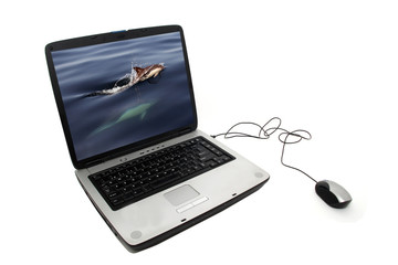 portable pc