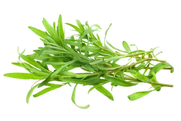 Crédence de cuisine en verre imprimé Herbes fresh tarragon herb