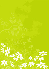 vecteur série - fleur marguerite - paysage de printemps et été