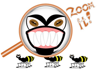 bug zoom and magnifying glass