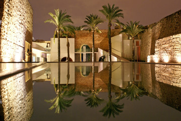 Noche y palmeras en Mallorca © quicolopez